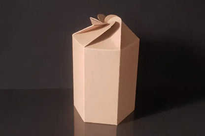 Cutie carton natur, 7x10 cm – Hexagon – imagine 6